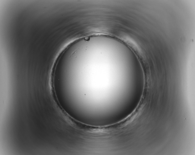 X0000098091182200804110956