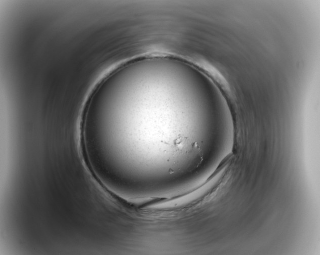X0000098091183200804110956