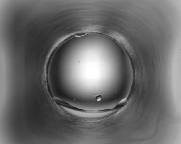 X0000098091184200804110956