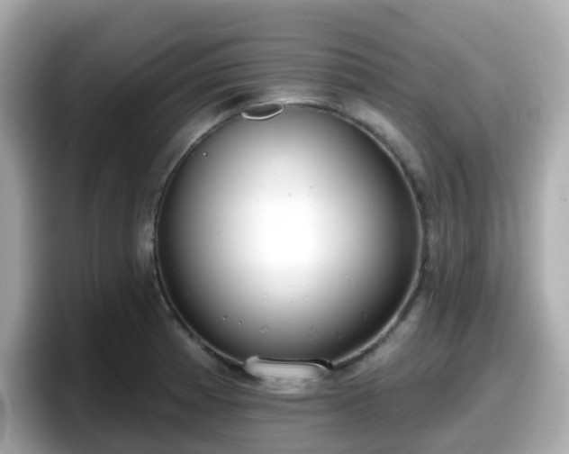X0000098091185200804110956