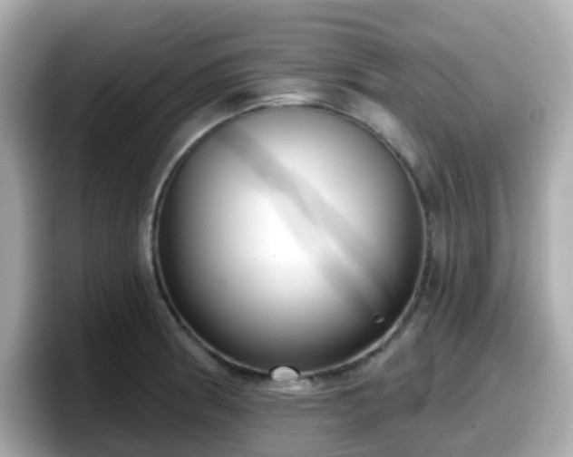 X0000098091186200804110956