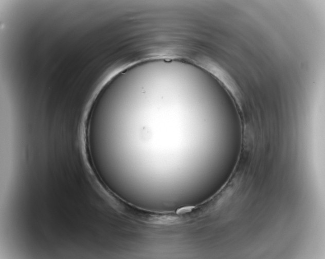 X0000098091187200804110956