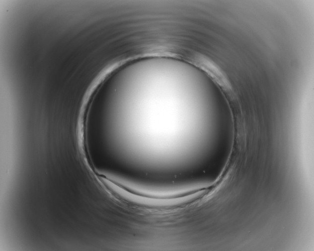 X0000098091188200804110956