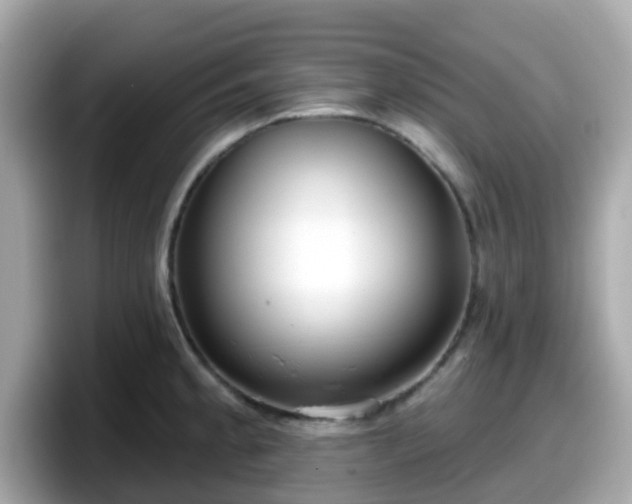 X0000098091189200804110956