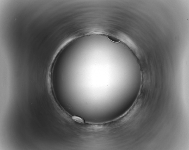 X0000098091190200804110956