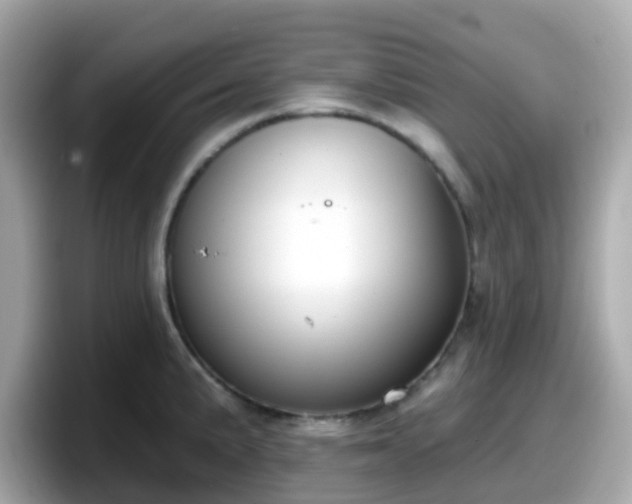 X0000098091191200804110956