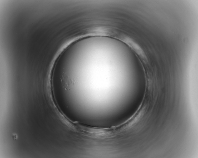 X0000098091192200804110956