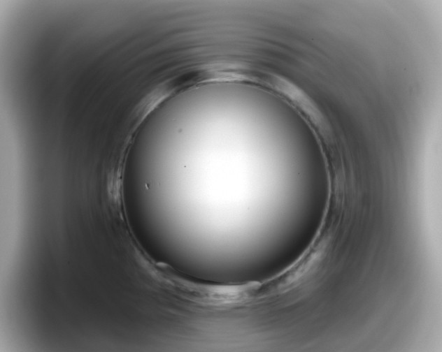 X0000098091193200804110956