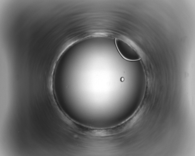 X0000098091194200804110956
