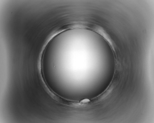X0000098091195200804110956