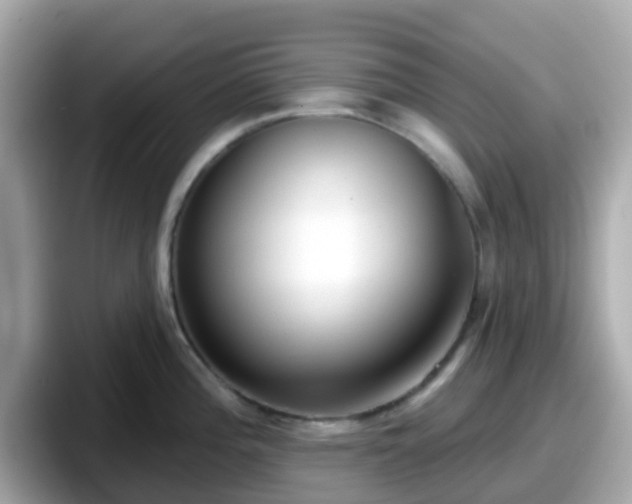 X0000098091196200804110956