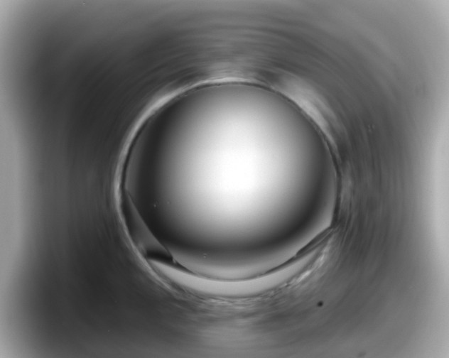 X0000098091197200804110956