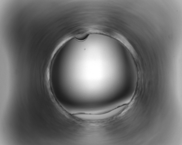 X0000098091198200804110956