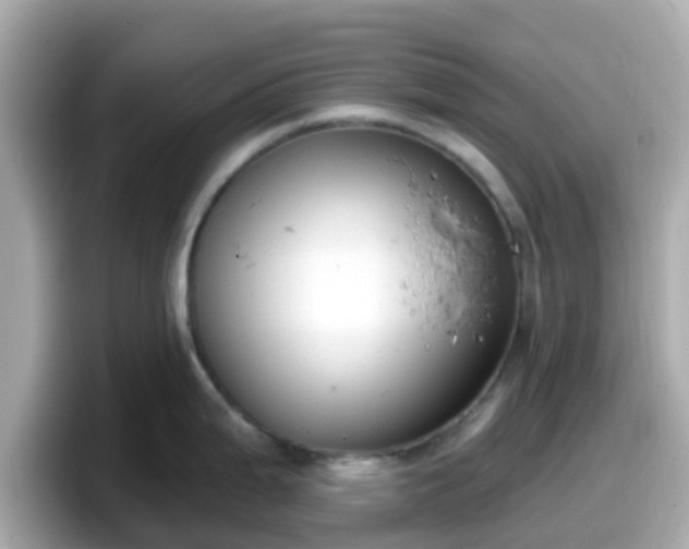 X0000098091199200804110956