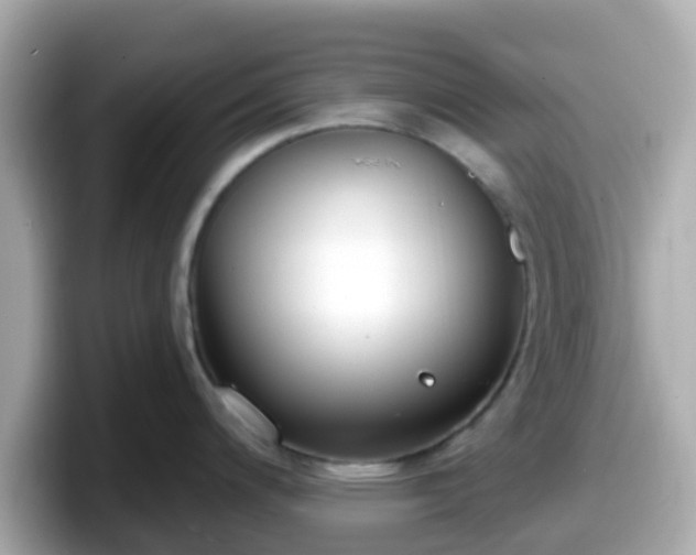 X0000098091200200804110956