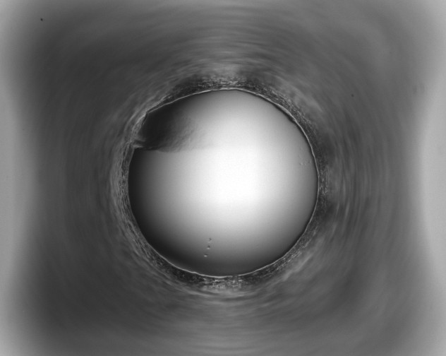 X0000098091201200804110955