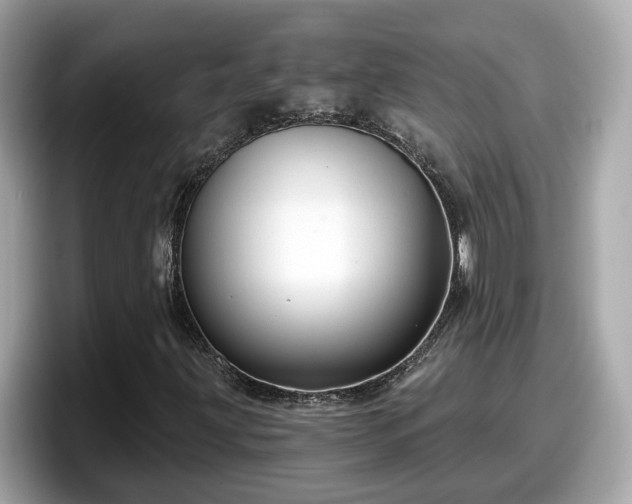 X0000098091203200804110956