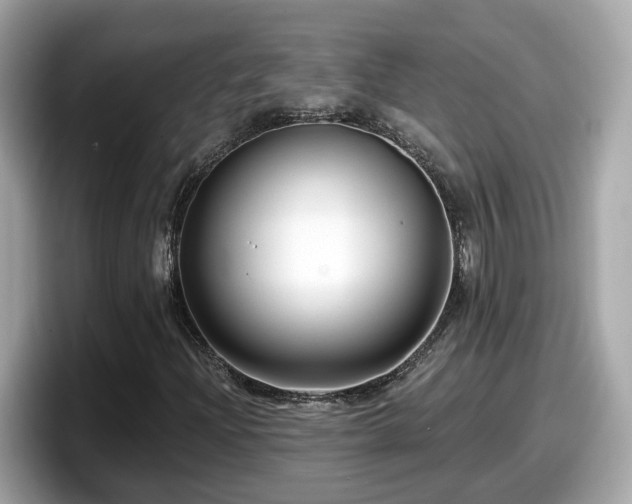 X0000098091204200804110956