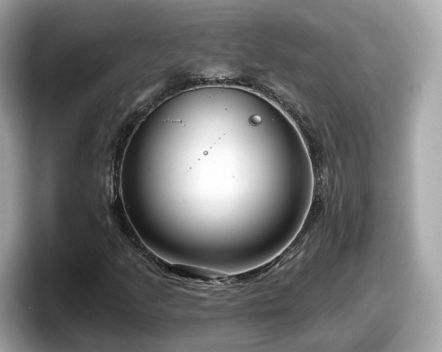 X0000098091205200804110956