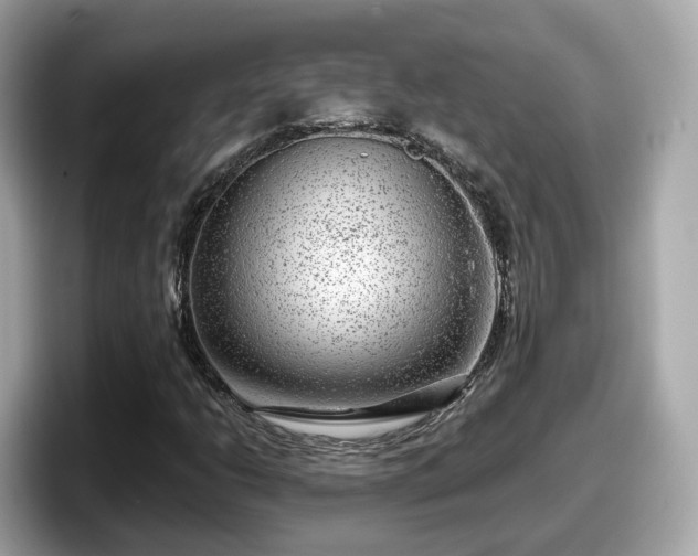 X0000098091206200804110956