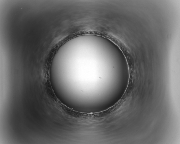 X0000098091207200804110956