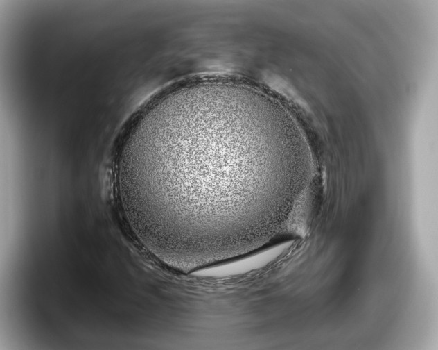 X0000098091208200804110956