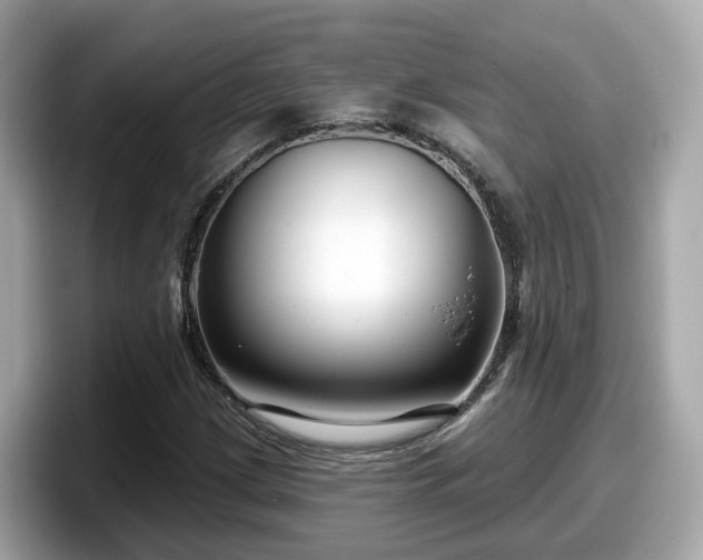 X0000098091209200804110956