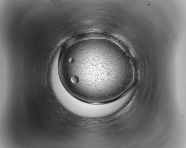 X0000098091210200804110956