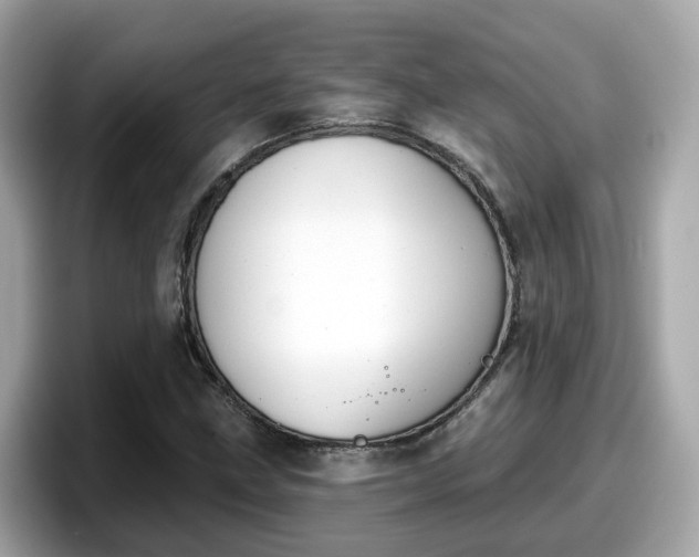 X0000098091211200804110956