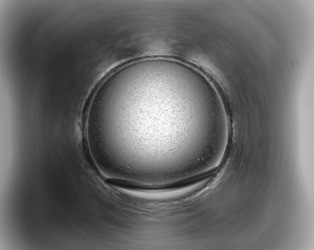 X0000098091212200804110956