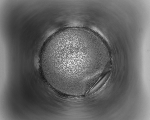 X0000098091213200804110956