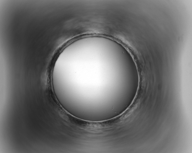 X0000098091215200804110956