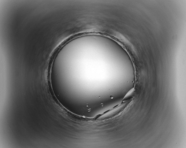 X0000098091216200804110956