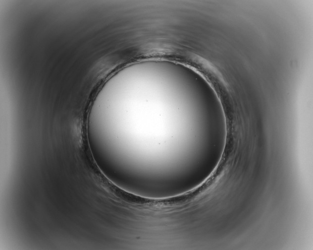 X0000098091217200804110956