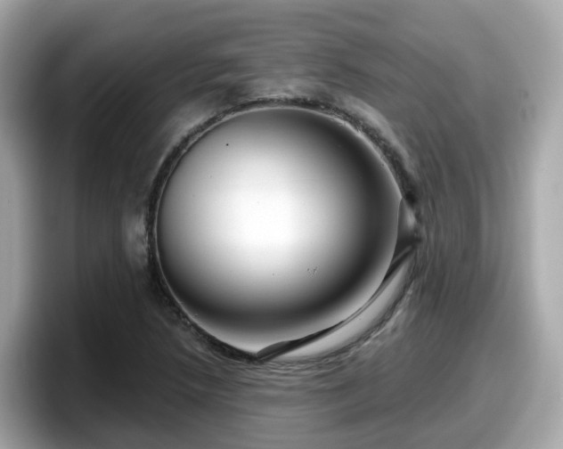 X0000098091218200804110956