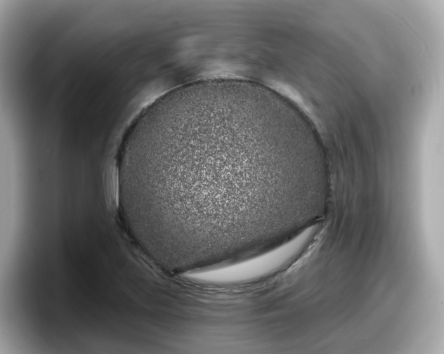 X0000098091219200804110956