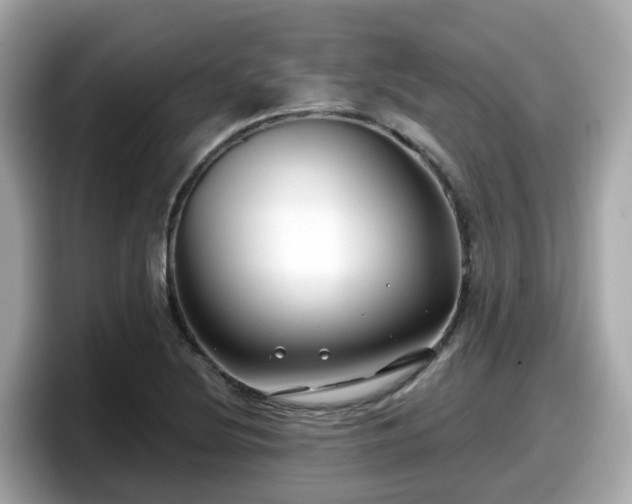 X0000098091220200804110956