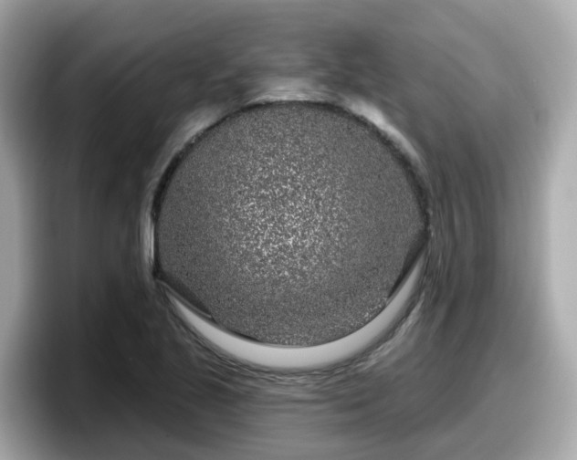 X0000098091221200804110956