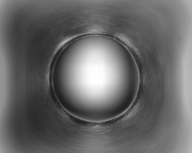 X0000098091222200804110956