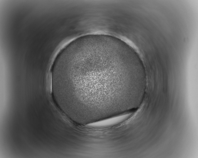 X0000098091223200804110956