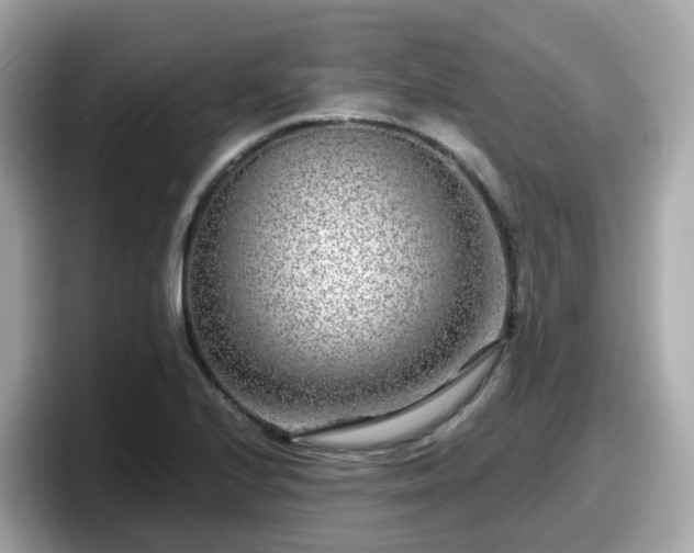 X0000098091224200804110956