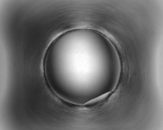 X0000098091230200804110956