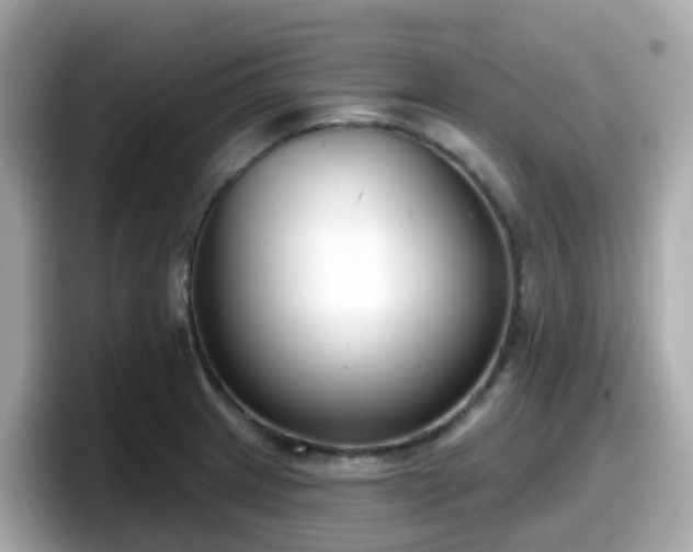 X0000098091233200804110956