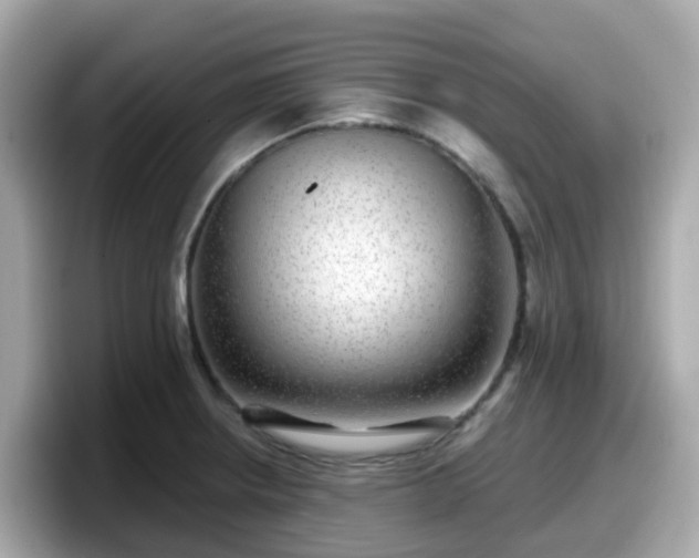 X0000098091234200804110956