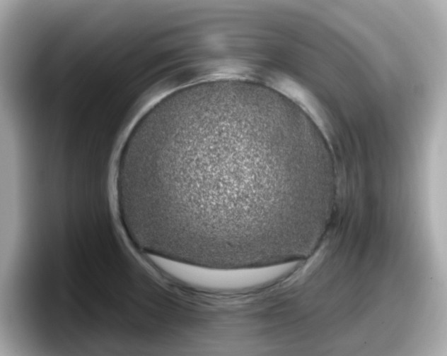 X0000098091235200804110956