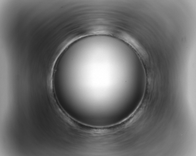 X0000098091236200804110956