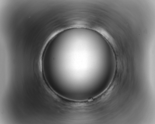 X0000098091238200804110956
