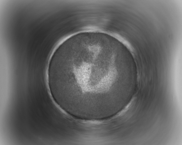 X0000098091239200804110956