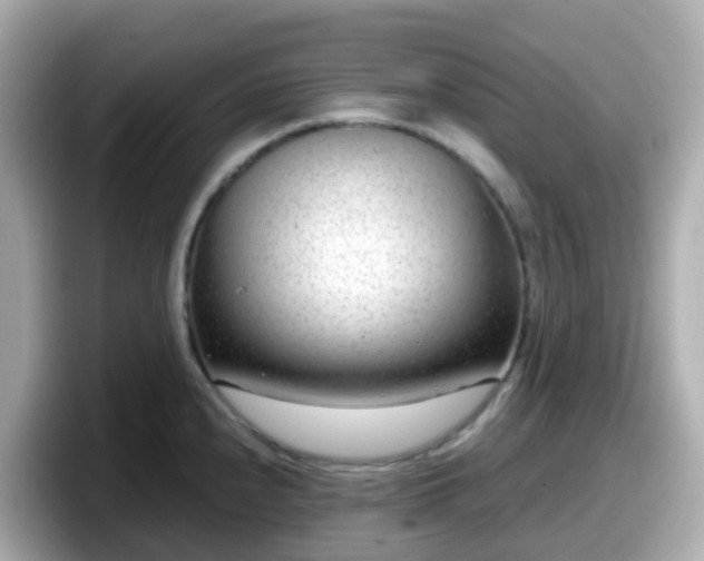 X0000098091240200804110956