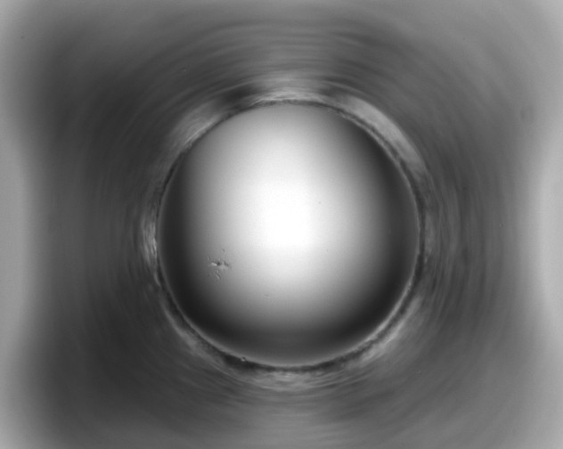 X0000098091241200804110956